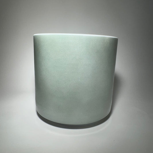 6" B+25 SAGE FOREST GOLD