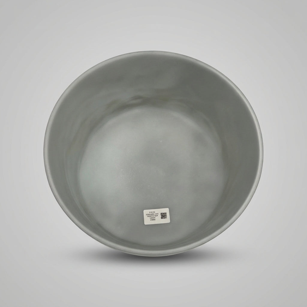 9" D-20 Itoigawa Jade, Frosted Rim Inside