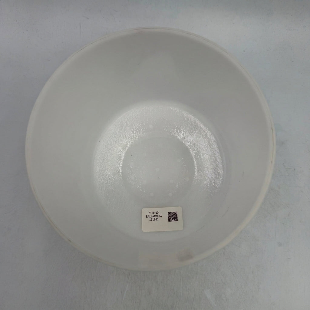 6" B+40 Palladium