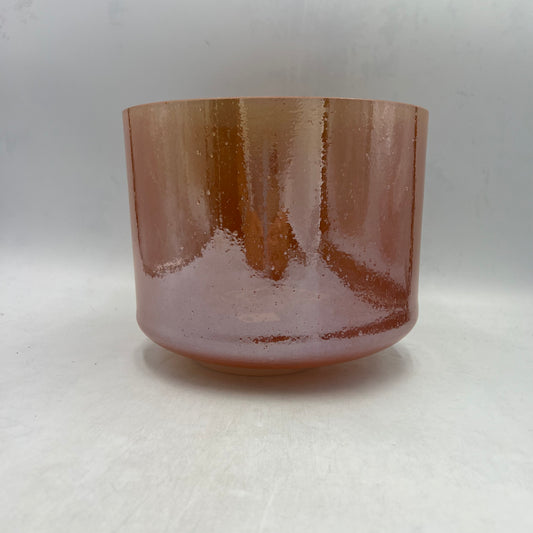 9" C-40 CARNELIAN, PALLADIUM