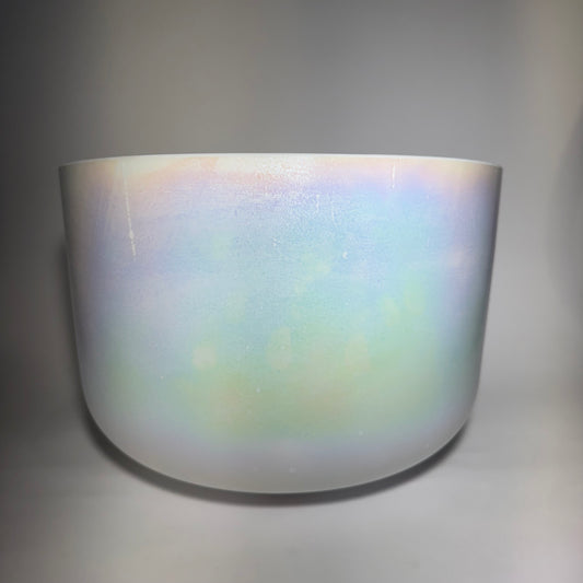 12" D#-5 MOTHER OF PLATINUM BOWL