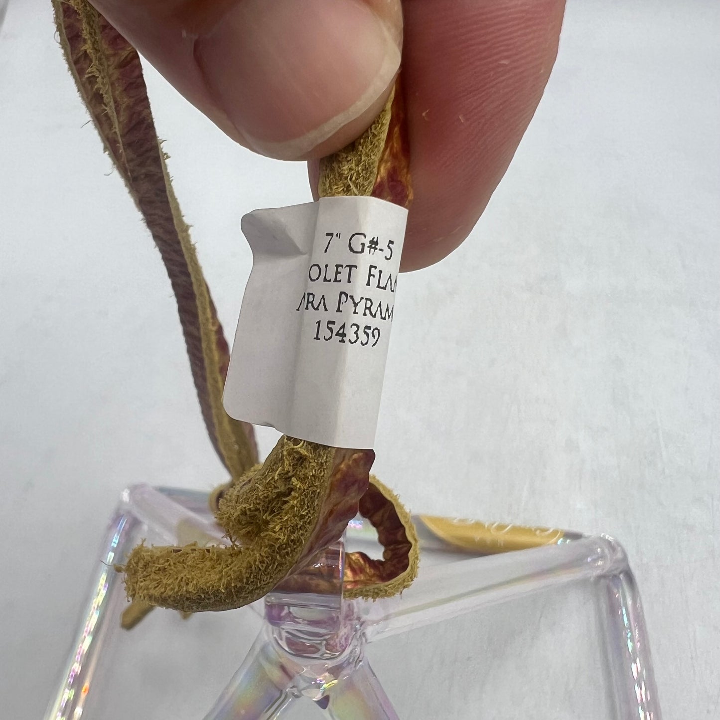 7" G#-5 VIOLET FLAME AURA PYRAMID