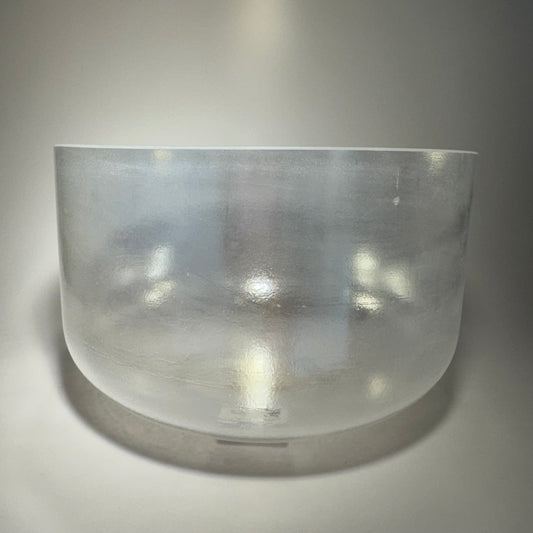 10" B+30 PALLADIUM BOWL