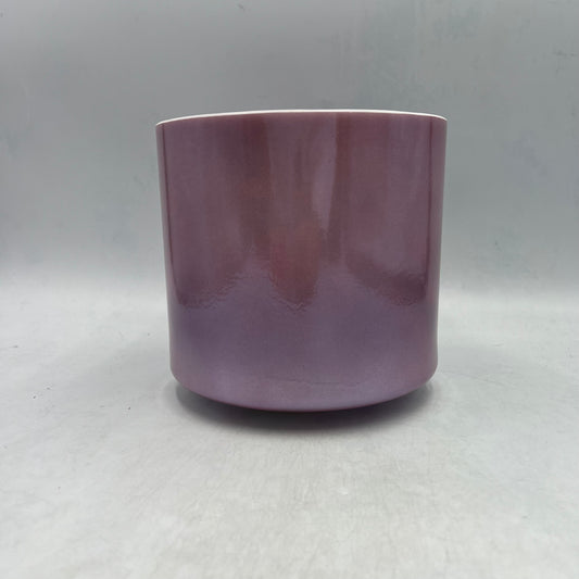 7" D#-10 LAVENDER SUNSET GOLD