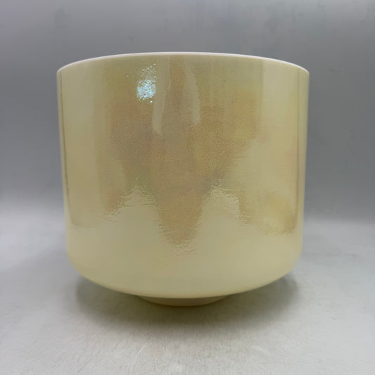 9" B0 Lemon Angel Gold