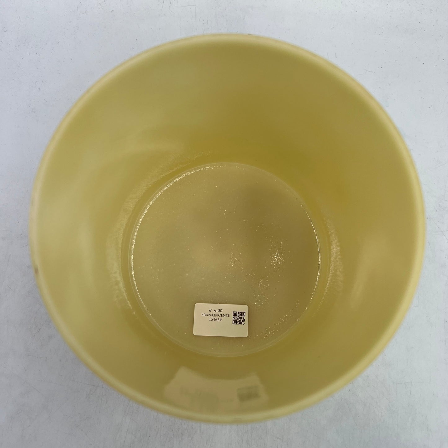 6" A+30 FRANKINCENSE