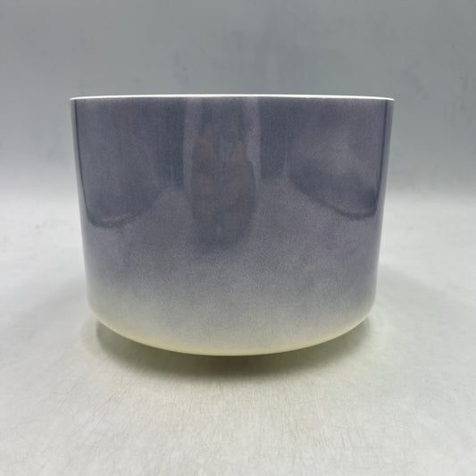 8" A+45 ZEAL POINT, LEMON ANGEL GOLD (BASE)