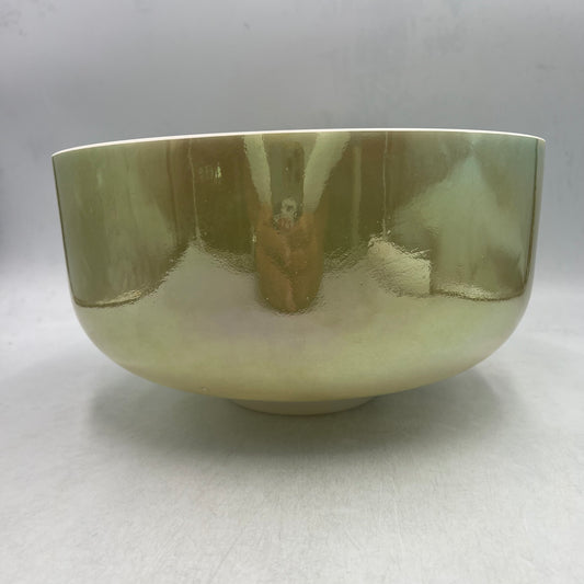 12" G-10 Laughing Buddha Supreme, Frosted Rim Inside