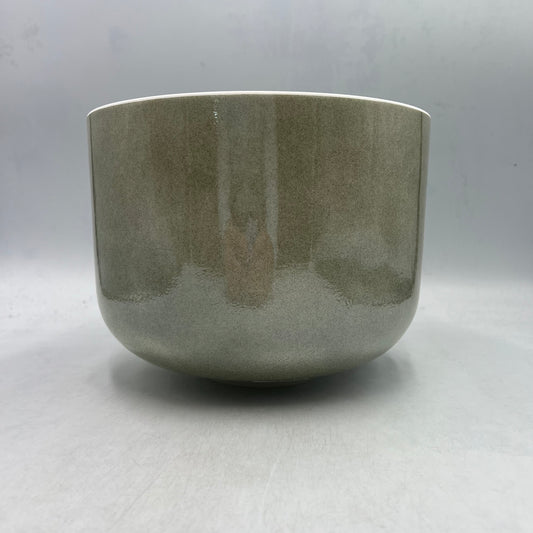 10" A+45 SAGE FOREST GOLD