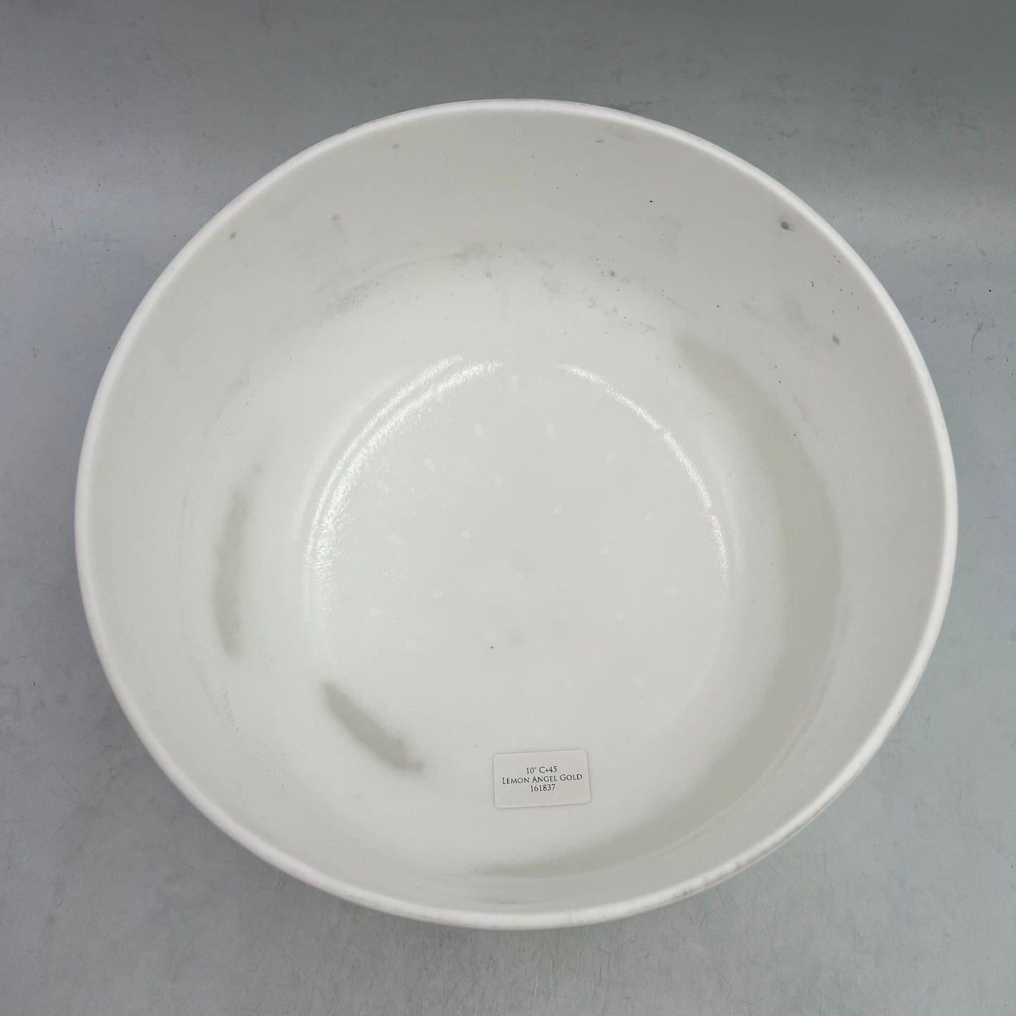 10" C+45 Lemon Angel Gold