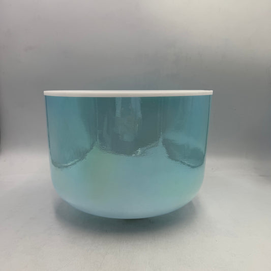 12" D0 Ocean Gold, Frosted Rim, Frosted (INSIDE)