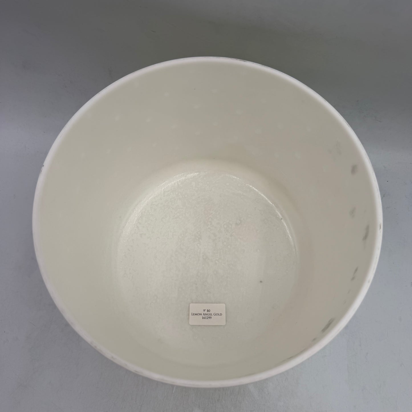 9" B0 Lemon Angel Gold