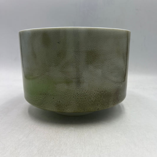 9" D#+20 Mt. Shasta Serpentine Palladium (Inside)